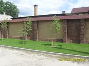 Еврозаборы  Днепропетровск   установка заборов