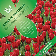 Преподаватели курсов «Ландшафтный дизайн»,  «Дизайн итерьера».