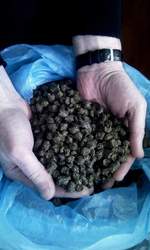  Пелета с лузги подсолнечника