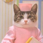 Сотрудник с опытом в мед.работника