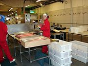 Робота в Швеції. Рибопереробний комбінат.