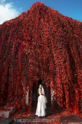 Принимаются заказы на СВАДЕБНУЮ ФОТОСЪЕМКУ 2013!!!