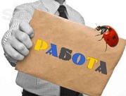 Нужен хороший логист