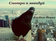 Требуется специалист по международным молодежным программам