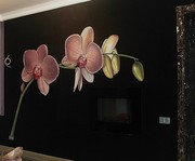 Художественная роспись стен в интерьере. Дизайн интерьеров.