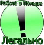 Легальное трудоустройство в Польше, контракт от 6 мес.!!!