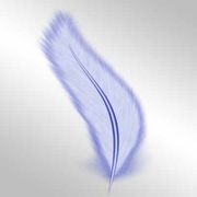 Оператор-диспетчер.