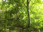 Продавец цветов или непродов. товаров