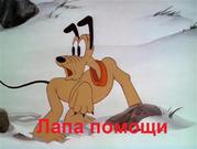 желающим компенсировать потери в МММ