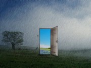 Покажу,  как зарабатывать от $1000 в ближайшие 30 дней.