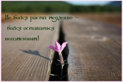 Требуются менеджеры по рекламе,  маркетолги,  консультанты