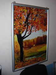 Эффект-студия Груп