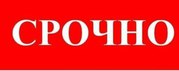 Требуется продавец