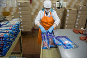 Рабочие на упаковку готовой рыбной продукции в Польшу